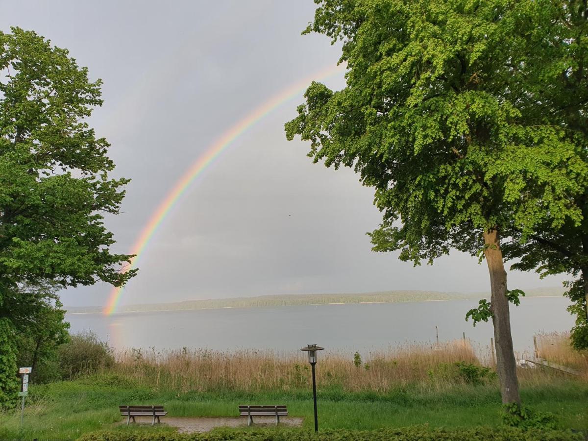 Villa Seeschwalbe Plau Plau am See Zewnętrze zdjęcie