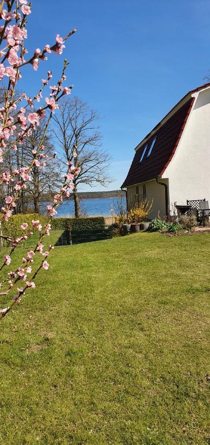 Villa Seeschwalbe Plau Plau am See Zewnętrze zdjęcie