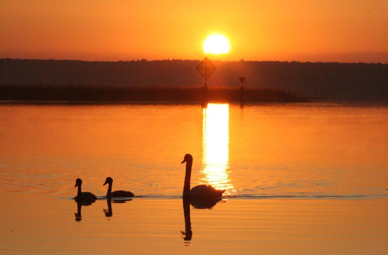Villa Seeschwalbe Plau Plau am See Zewnętrze zdjęcie