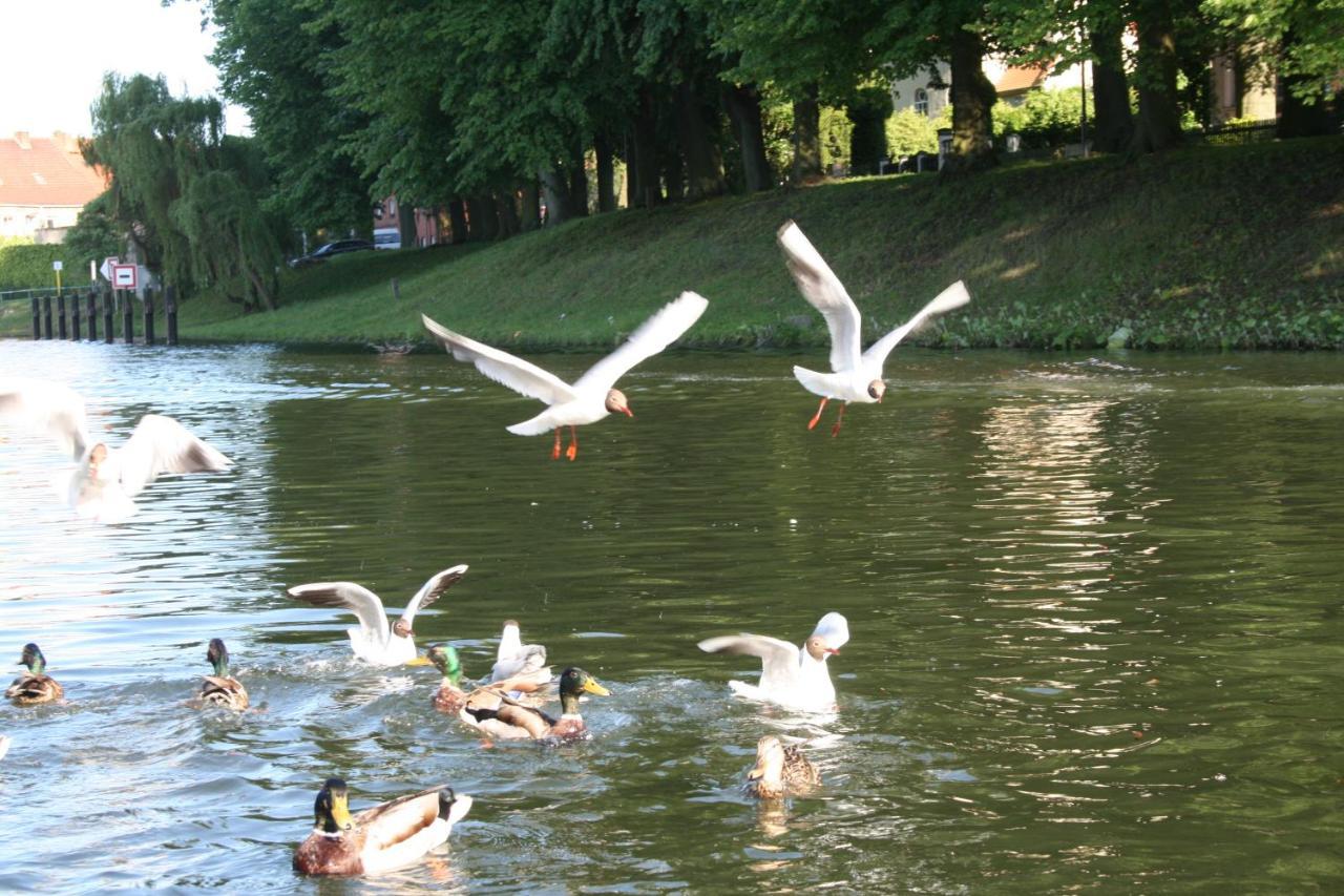 Villa Seeschwalbe Plau Plau am See Zewnętrze zdjęcie